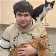 Técnico de programación multiplataforma y administrador de sistemas informáticos en red